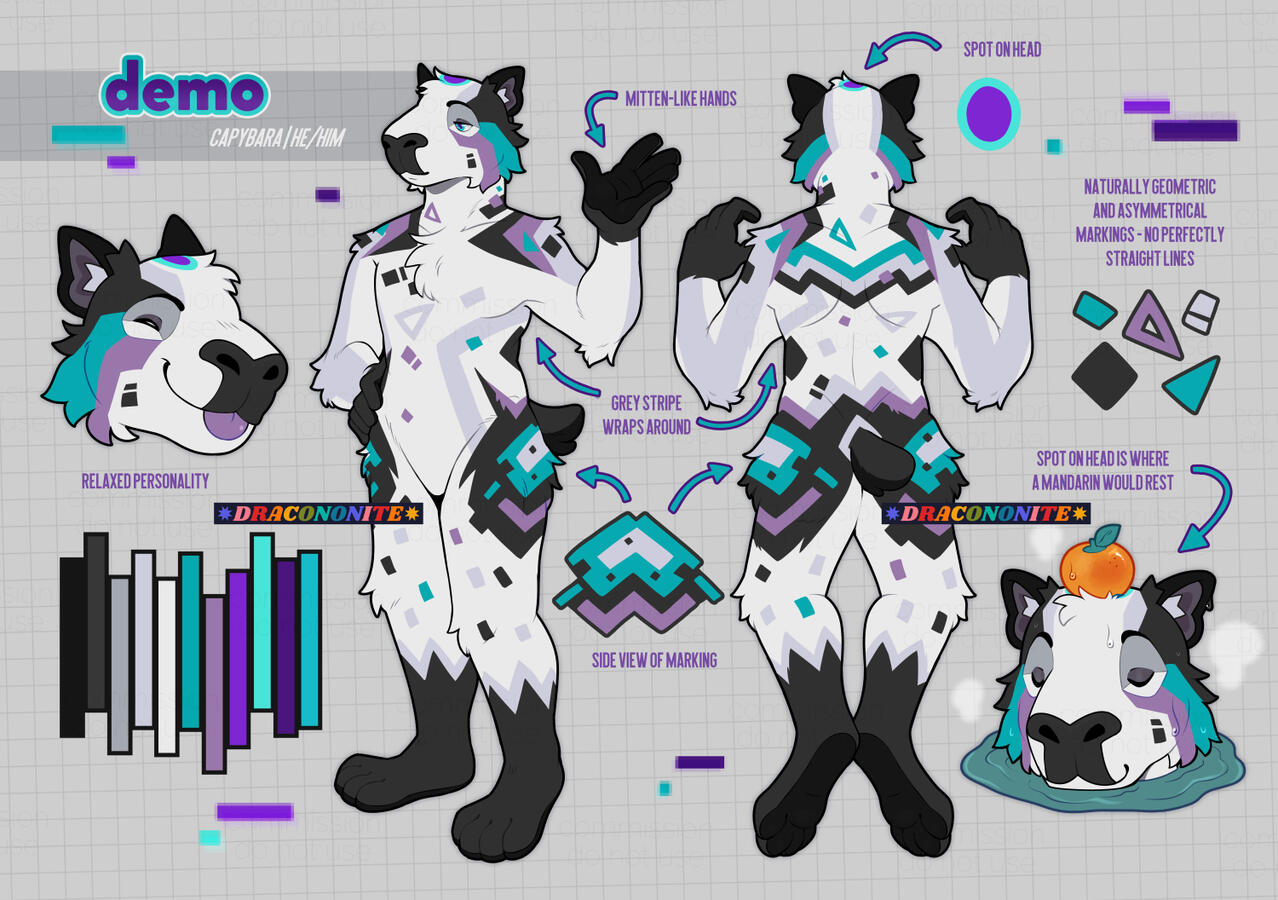 Reference sheet of an anthro capybara character, with colorful geometric patterns.