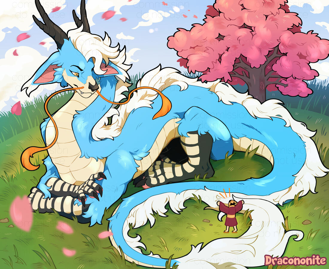 KyousukeShii Illustration of a large eastern dragon character lounging in a windy grassland with a sakura tree, looking downward disdainfully at a human.