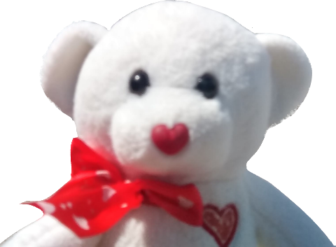 Skrunky White Valentine's teddy bear.