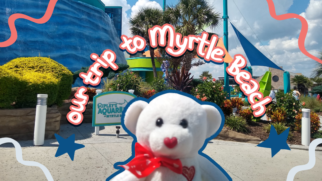 Myrtle Beach Vlog